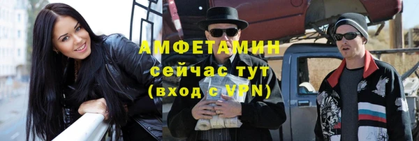 ГАЛЛЮЦИНОГЕННЫЕ ГРИБЫ Гусь-Хрустальный