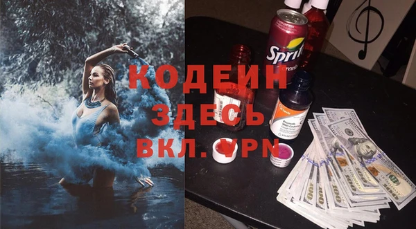 ГАЛЛЮЦИНОГЕННЫЕ ГРИБЫ Гусь-Хрустальный