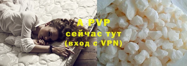 apvp Гусиноозёрск